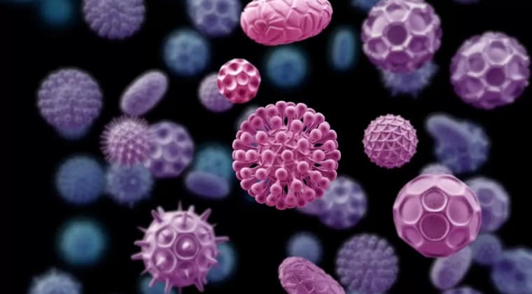 Enfermedades de transmisión sexual (ETS)